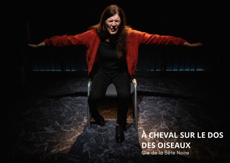 Flyer 1 - Théâtre A cheval au dos des oiseaux